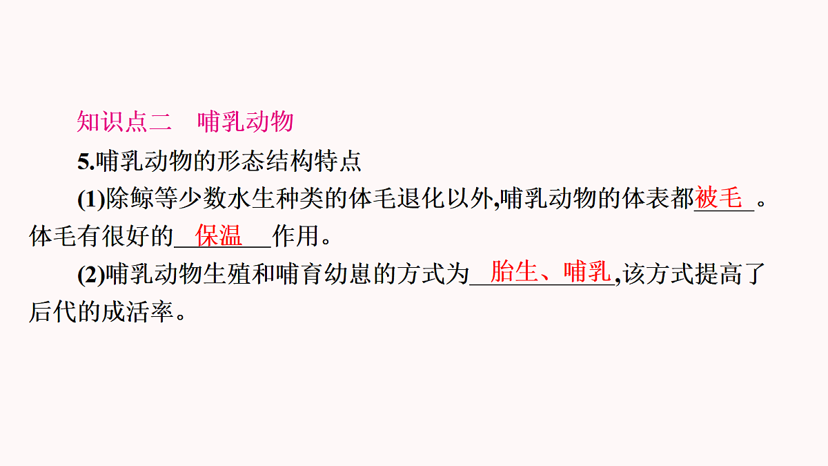 17410962第6页