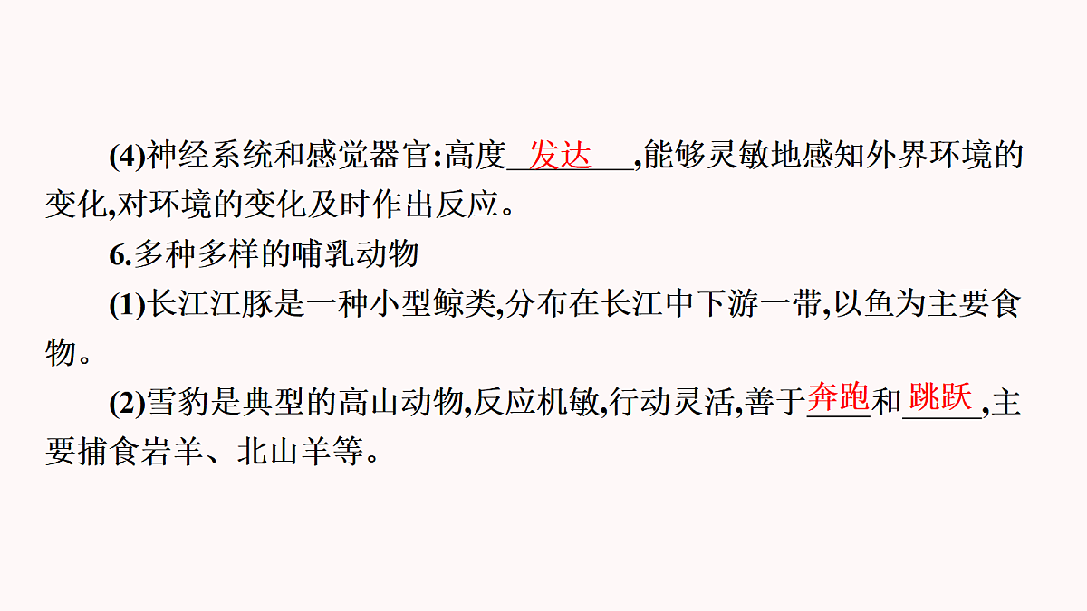 17410962第8页