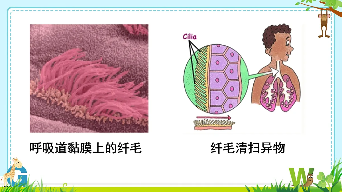 17411113第8页