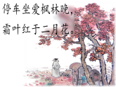 统编版语文三年级上册第6课《秋天的雨》教学课件