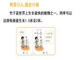7.5 竹子的生长-课件-2025-2026学年度北师大版数学三年级上册