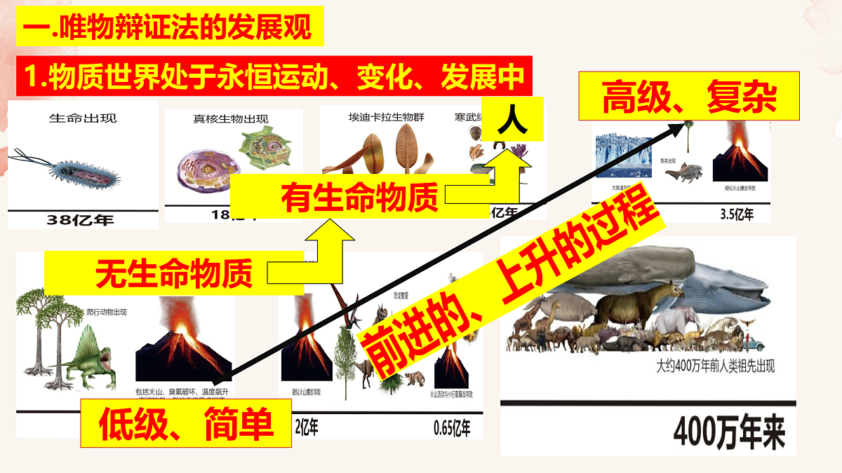 17412065第3页