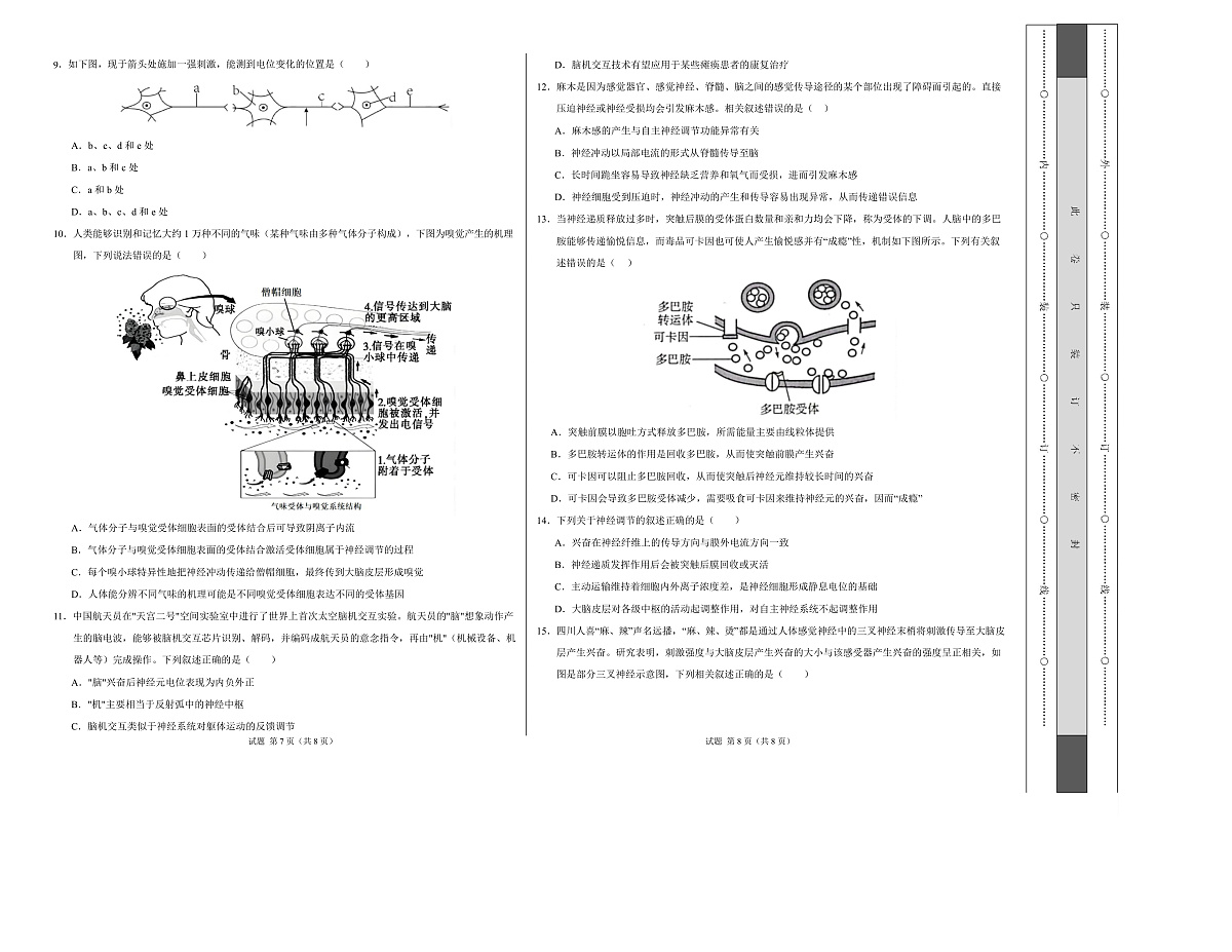 高二生物上第一次月考【测试范围：选择性必修1第1、2章】（考试版A3）（人教版2019）第2页