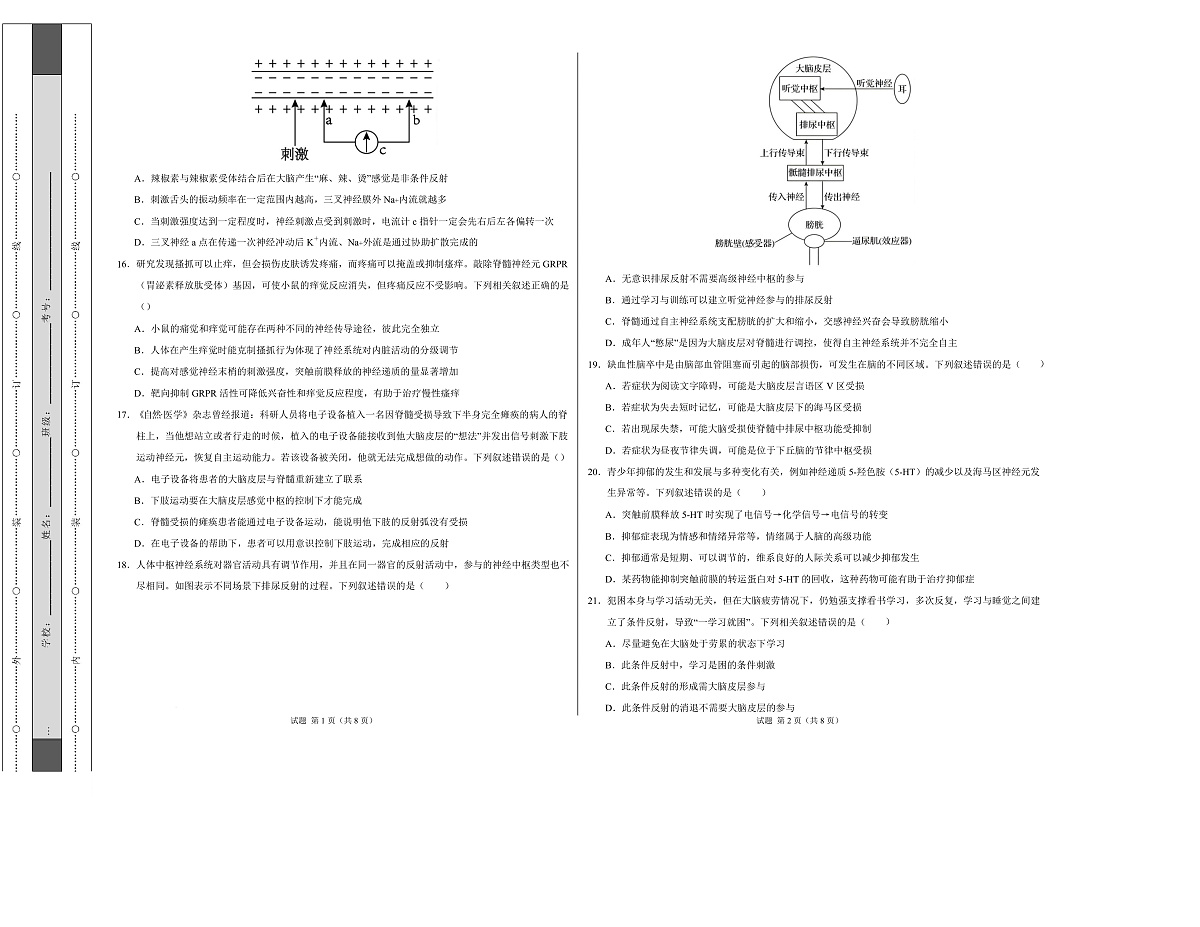 高二生物上第一次月考【测试范围：选择性必修1第1、2章】（考试版A3）（人教版2019）第3页