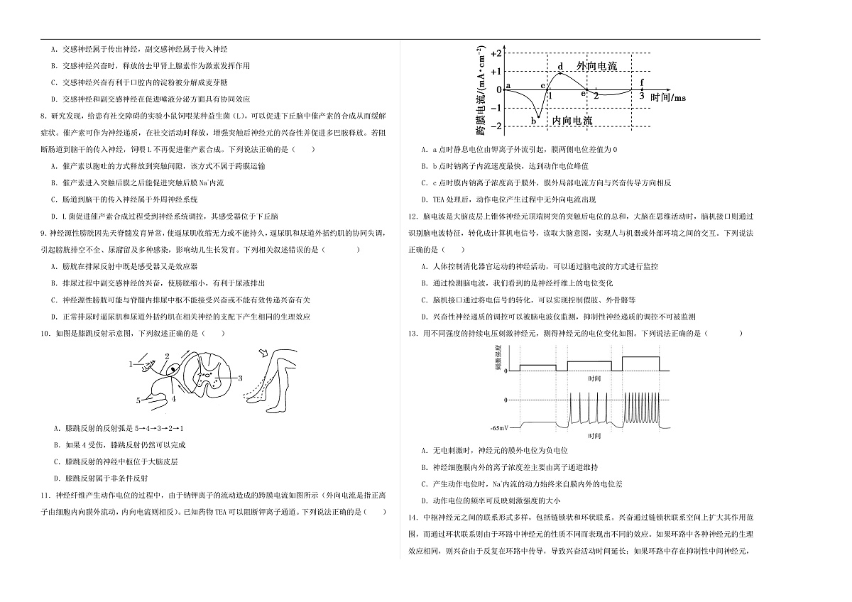 高二生物第一次月考卷【测试范围：人教版2019选择性必修1第1章~第2章第3节】（考试版A3）第2页
