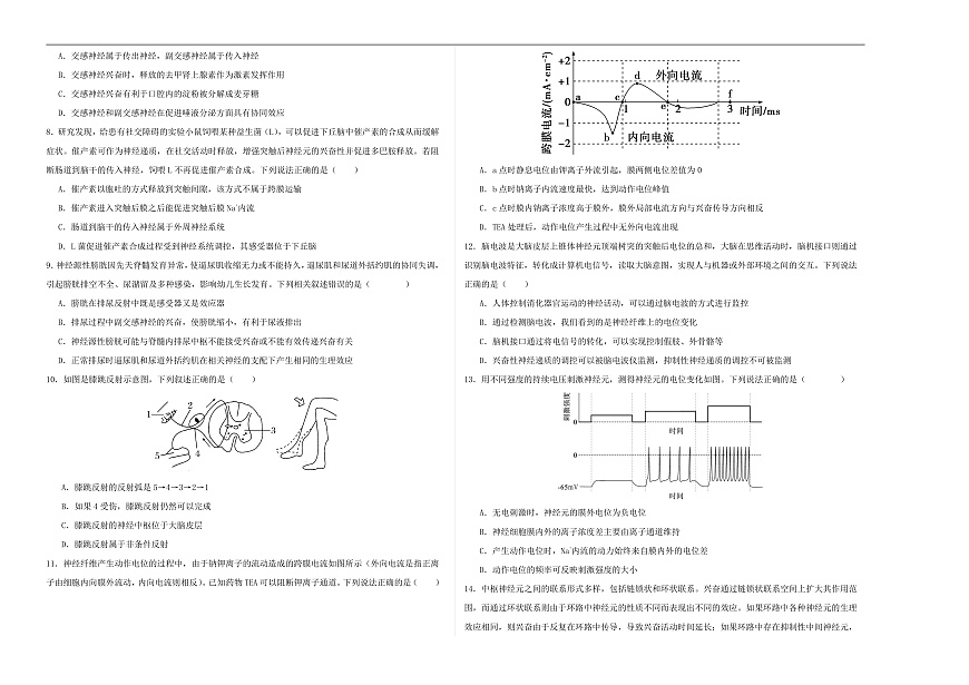 高二生物第一次月考卷【测试范围：人教版2019选择性必修1第1章~第2章第3节】（考试版A3）第2页