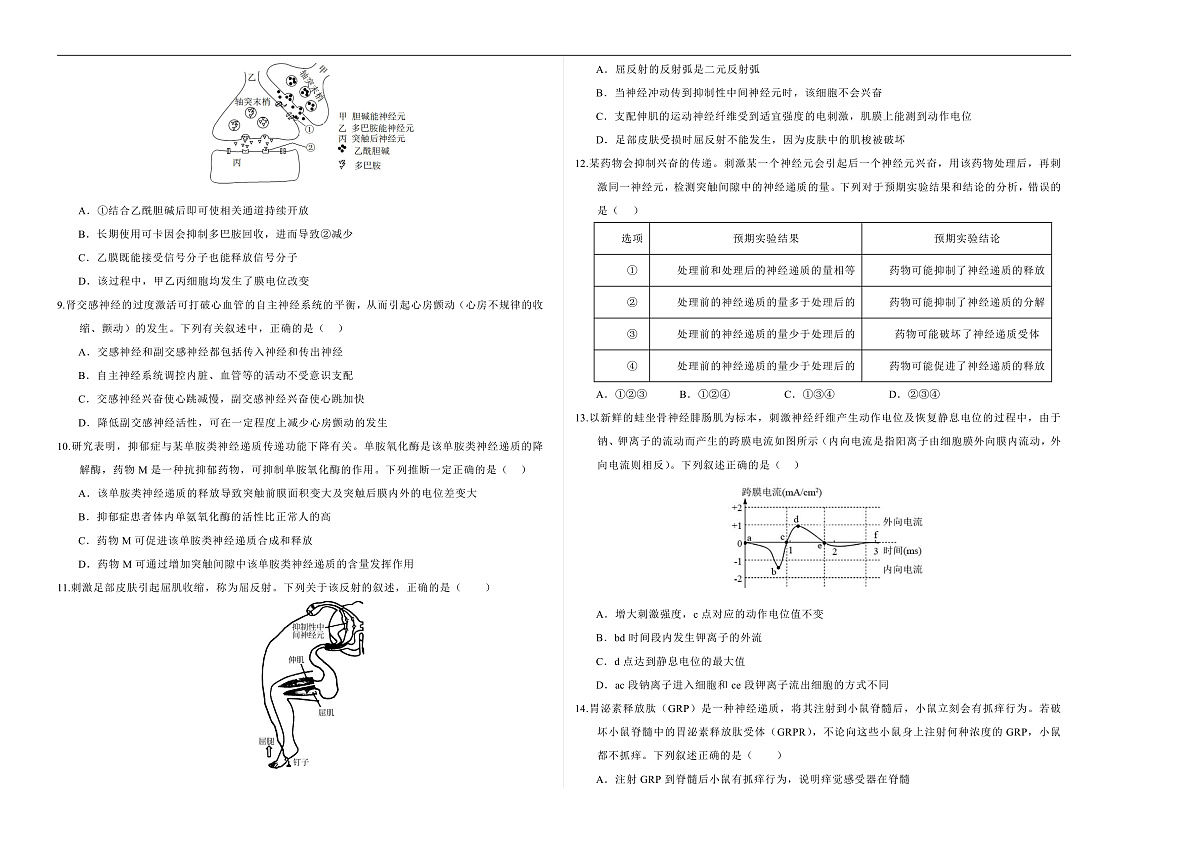 高二生物上学期第一次月考02【测试范围：第1-2章】（考试版A3）（人教版2019）第2页