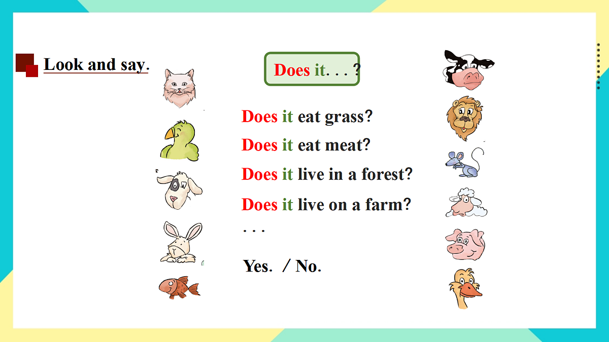 Unit 6 Our animal friends：Language in use课件第8页