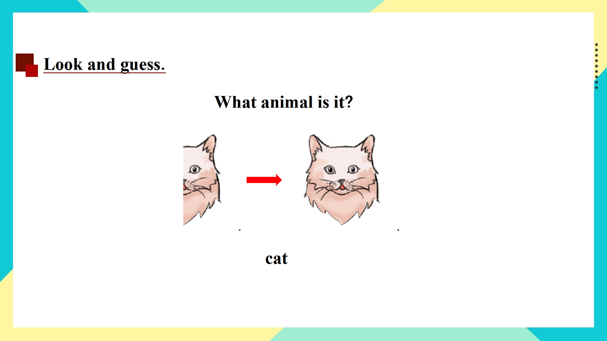 Unit 6 Our animal friends：Let’s do it课件第3页