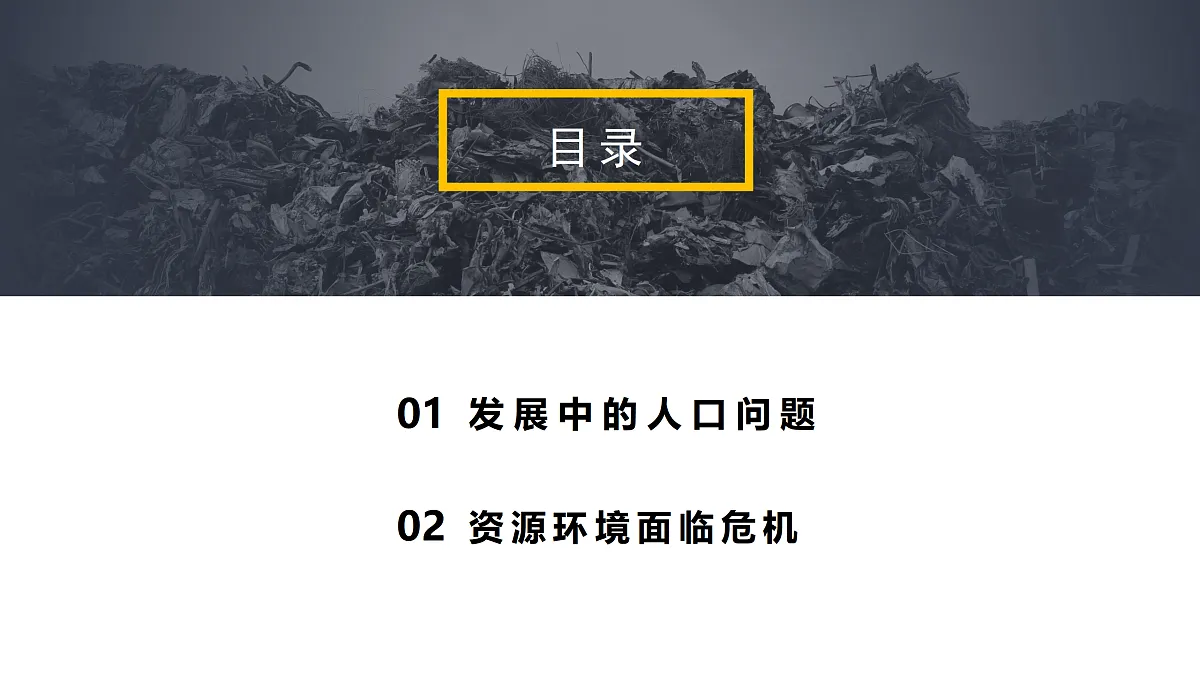 17412843第3页