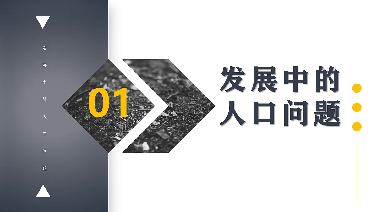 17412843第4页