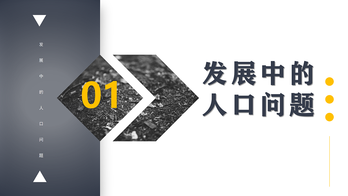 17412843第4页
