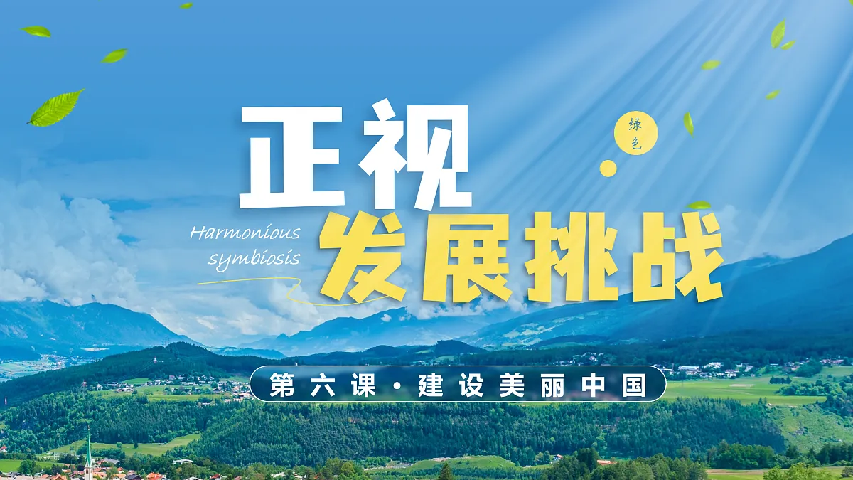 17412846第3页