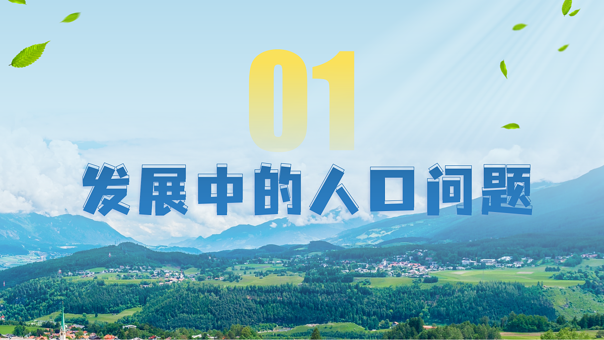 17412846第5页