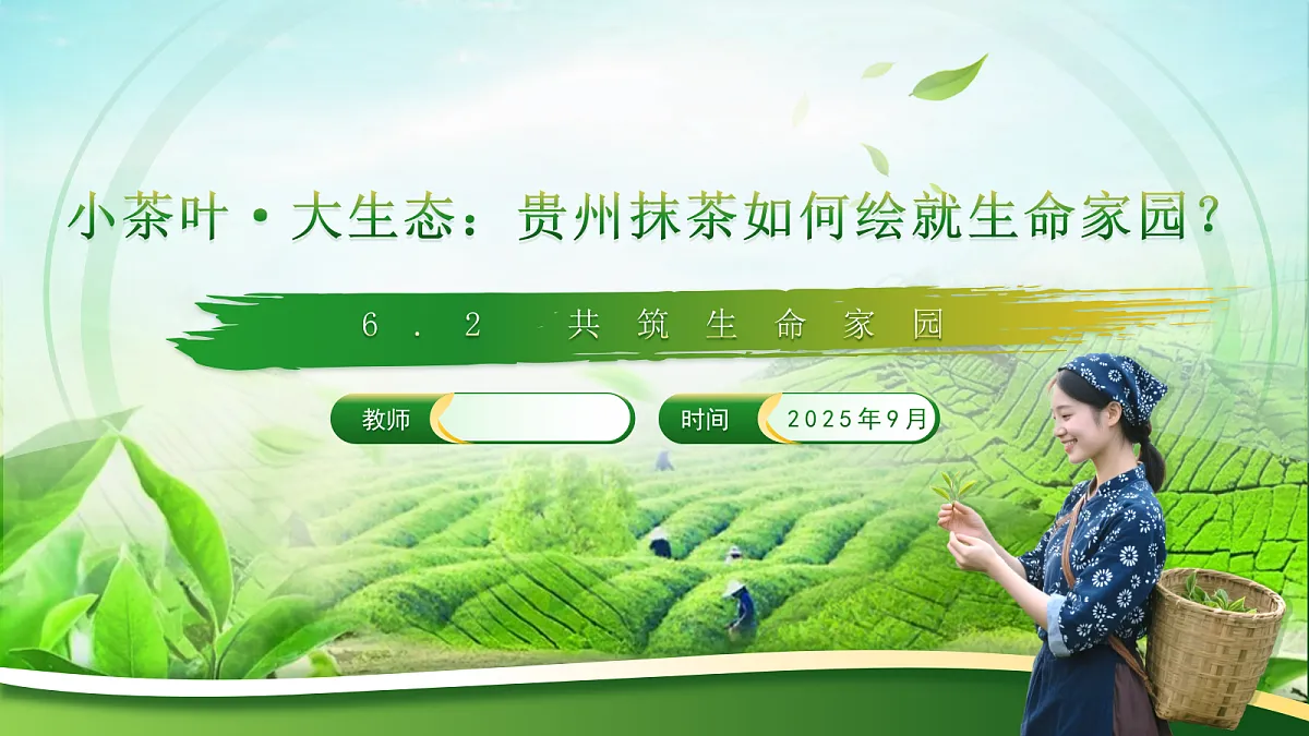 17412848第1页