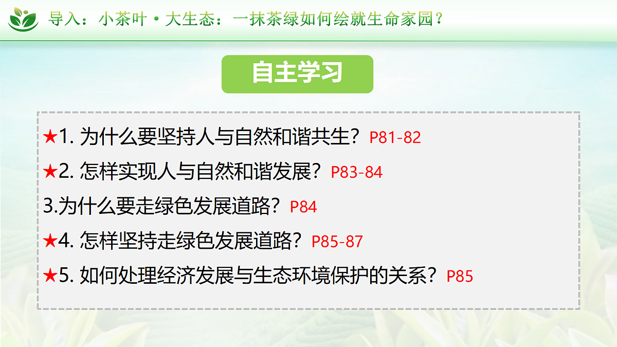 17412848第3页