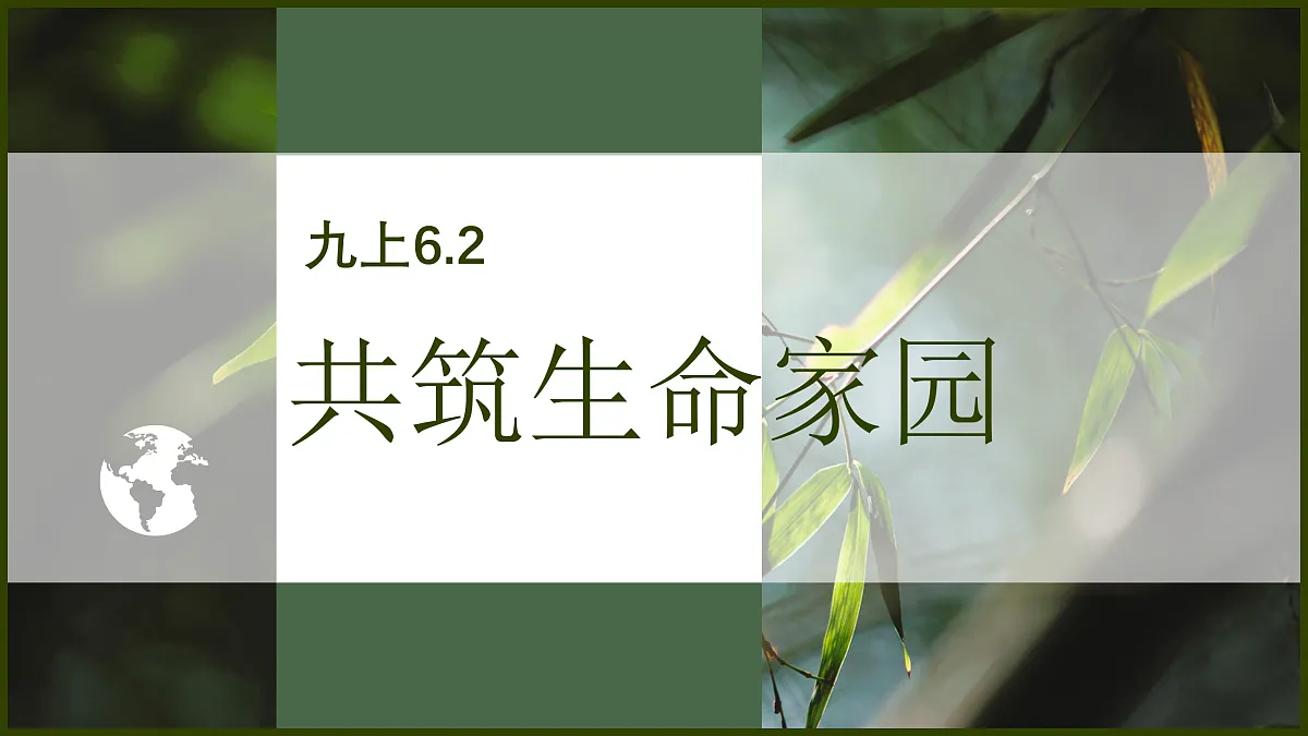 17412850第2页