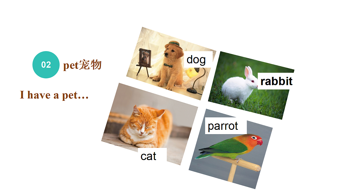 17413357第7页