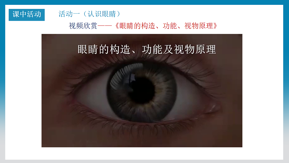 5.6神奇的眼睛第5页