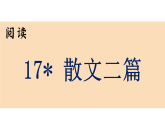 第17课 《散文二篇》（课件） 2025-2026学年统编版（2024）语文八年级上册