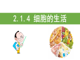 课件-人教版-七年级生物-细胞的生活-pptx