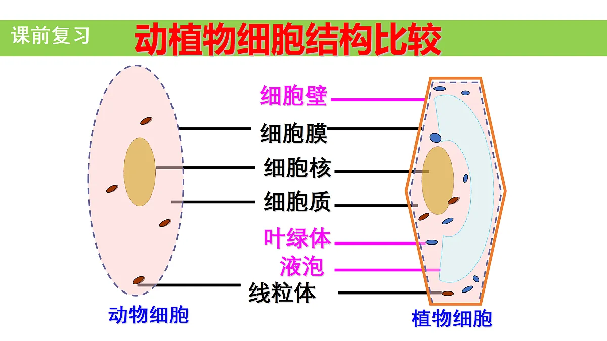 17415065第2页