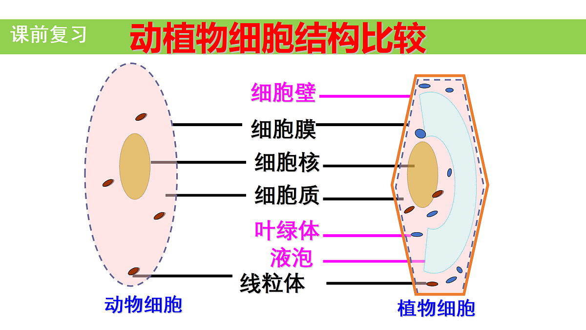 17415065第2页