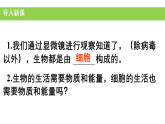 课件-人教版-七年级生物-细胞的生活-pptx
