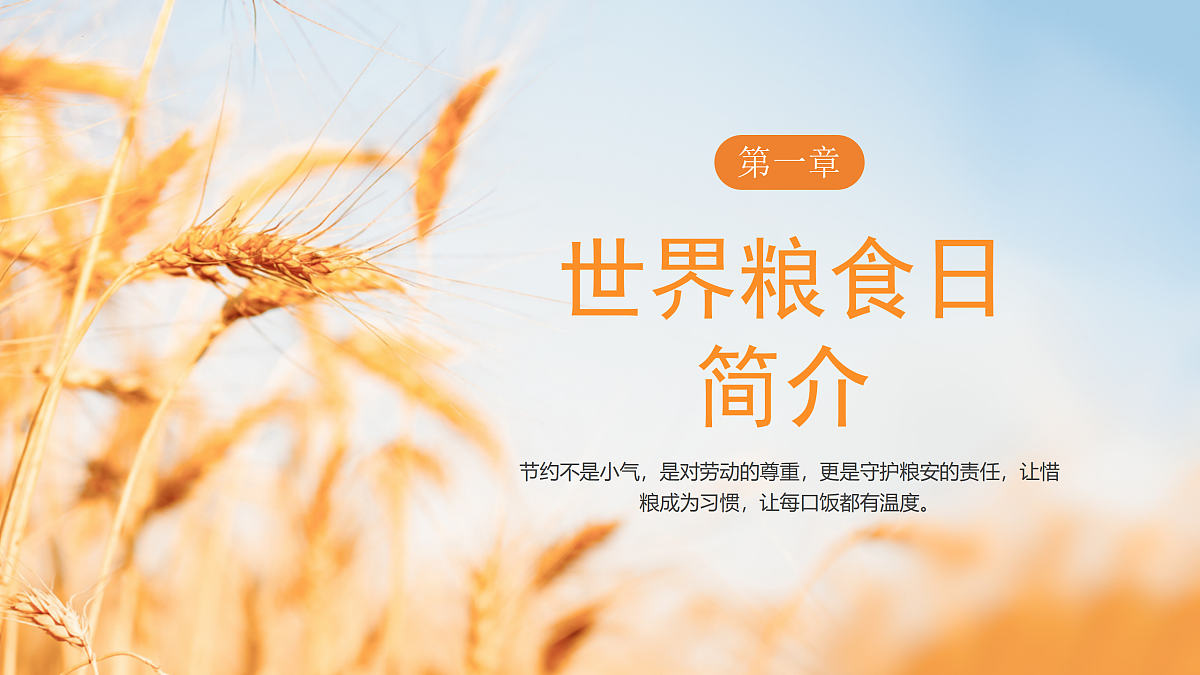 17415075第4页