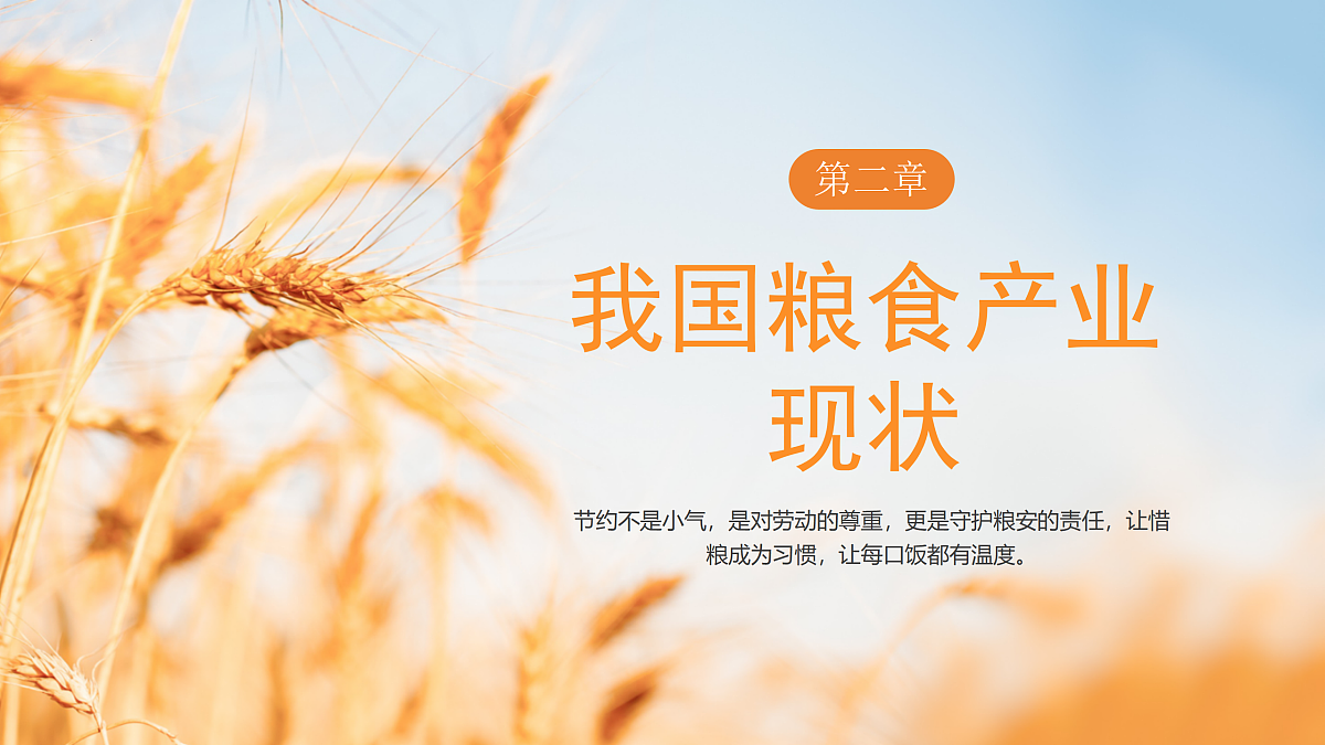 17415075第8页