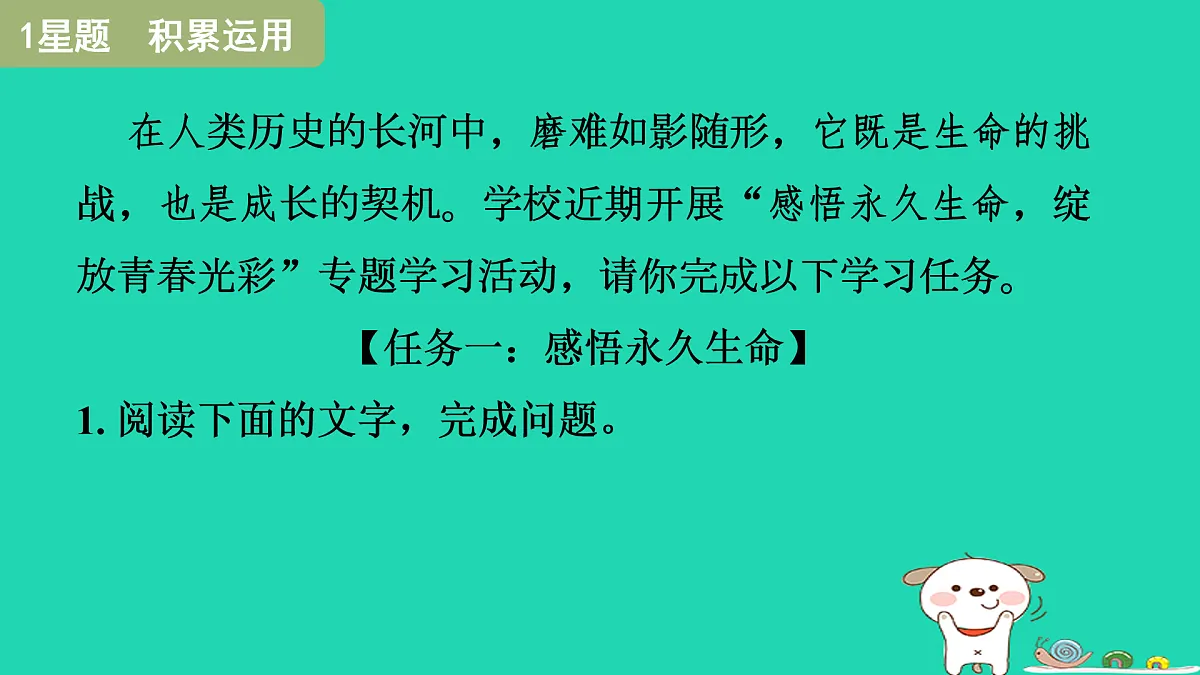 17415253第3页