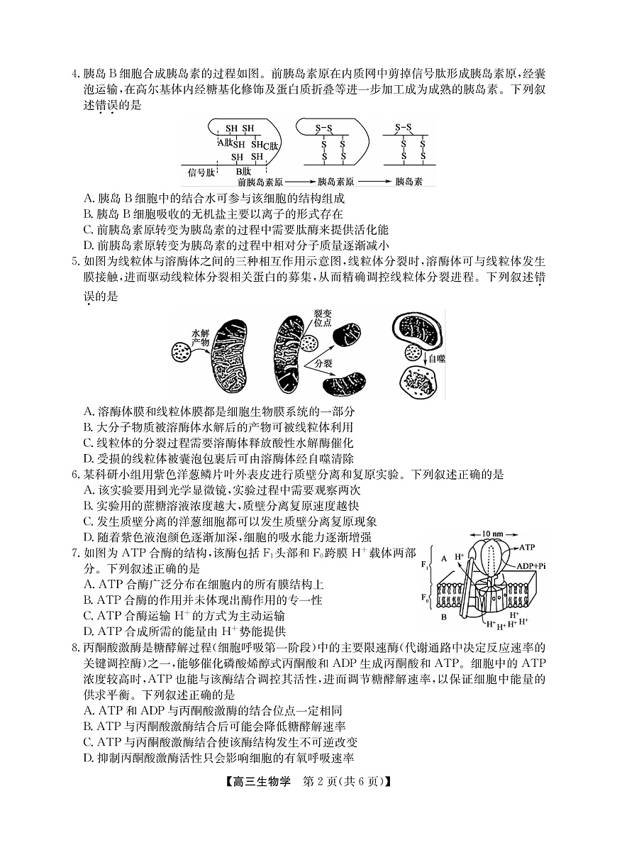 2025年“江南十校”新高三第一次综合素质检测+生物第2页