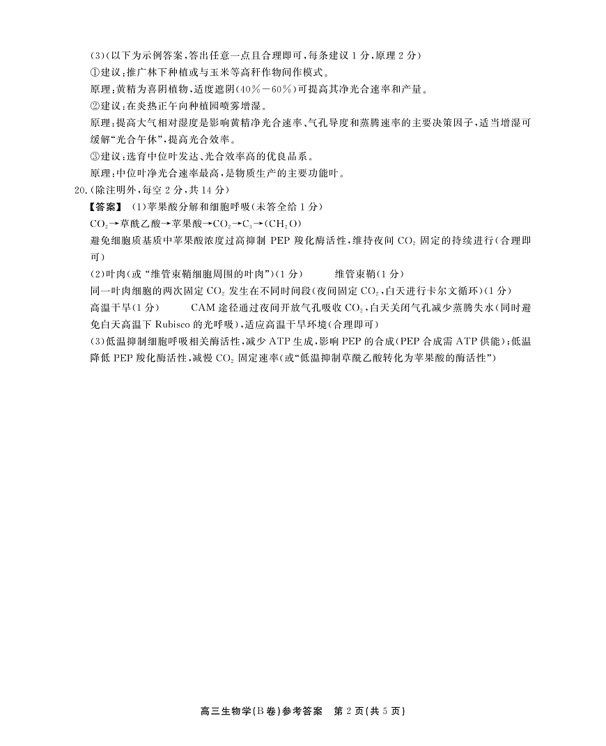 2025-2026学年鼎尖名校大联考+生物(B)答案第2页