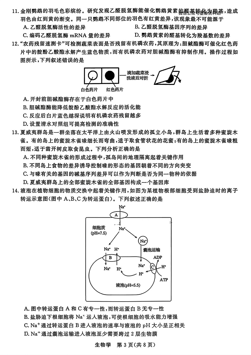 生物试题｜26届强基联盟国庆返校考第3页