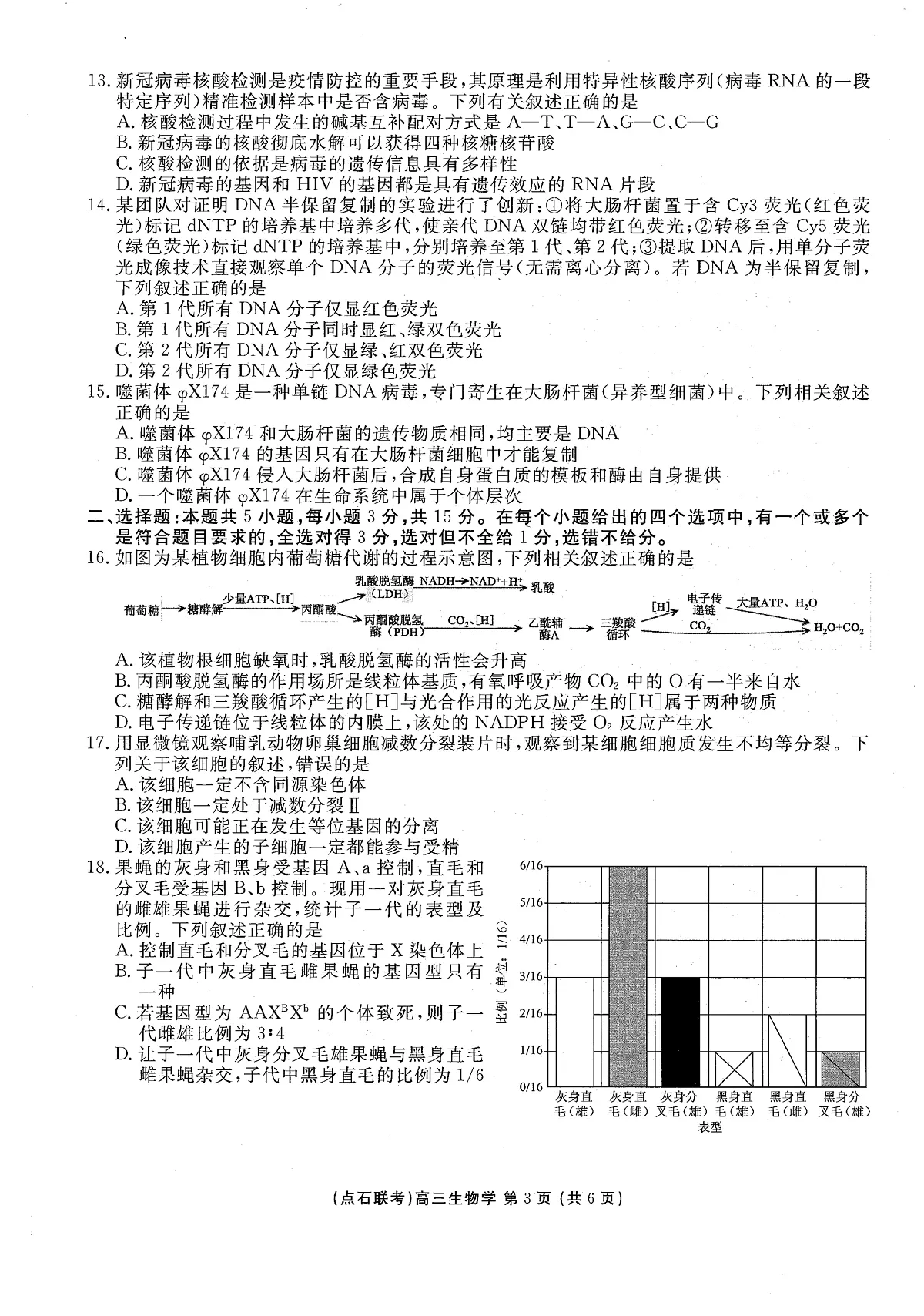 生物试卷-辽宁点石联考2025-2026学年高三10月联合考试第3页