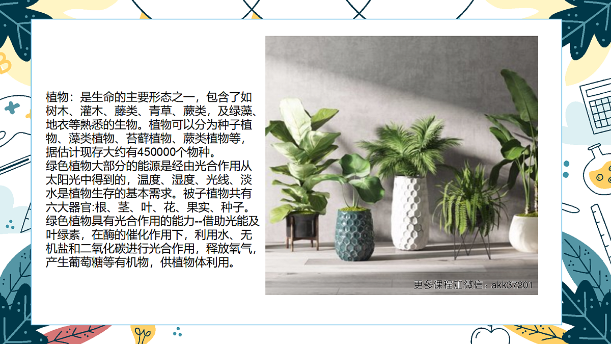 17416228第5页