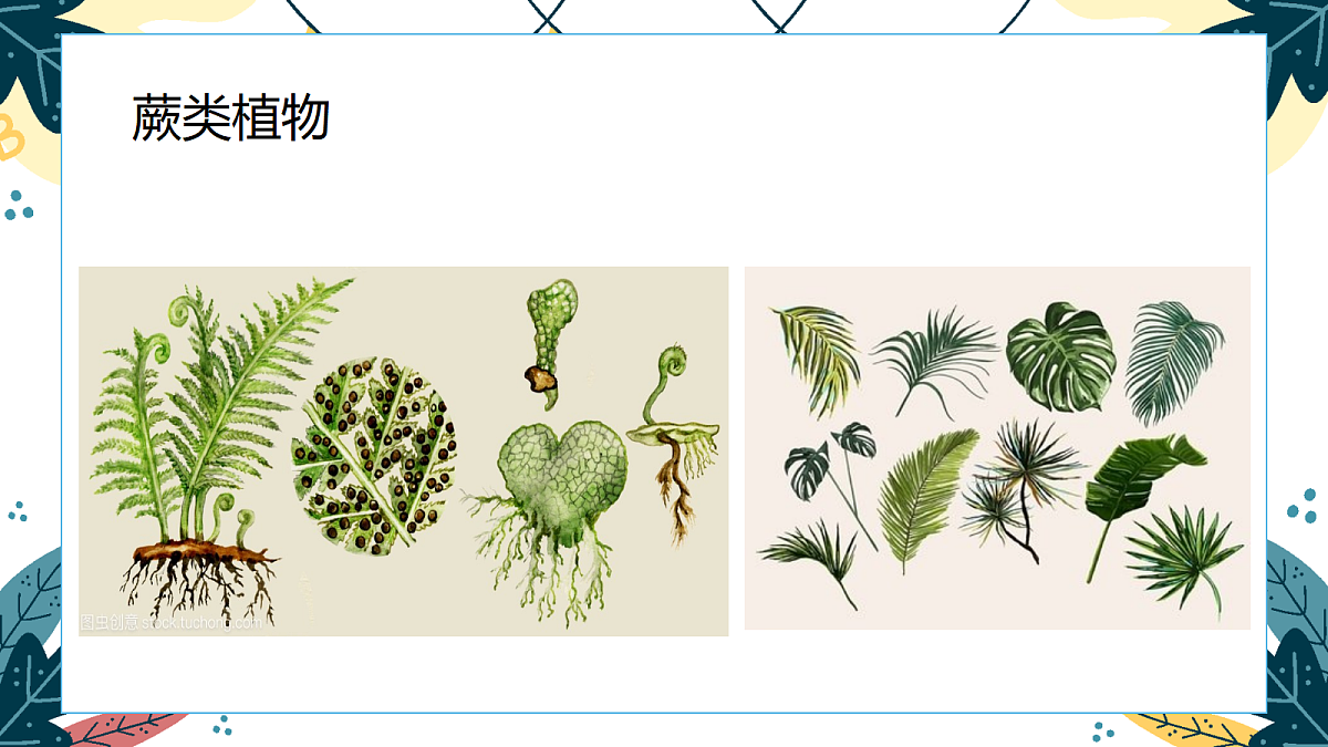 17416228第6页
