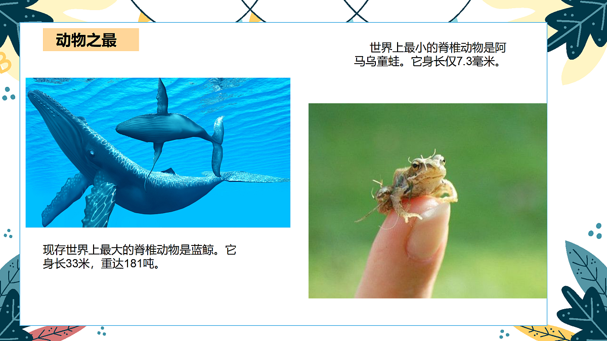17416229第7页