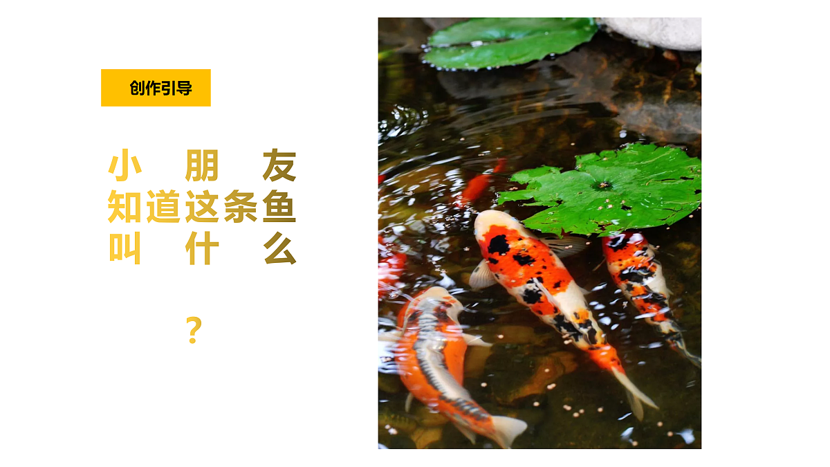 17416233第3页