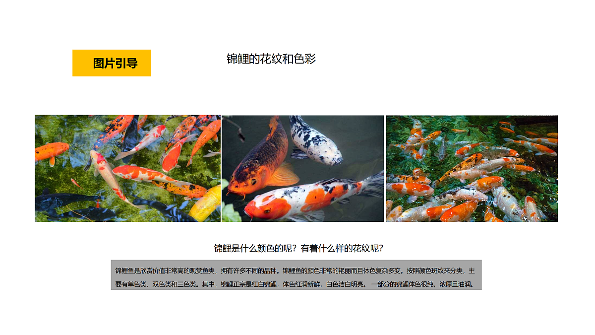 17416233第5页