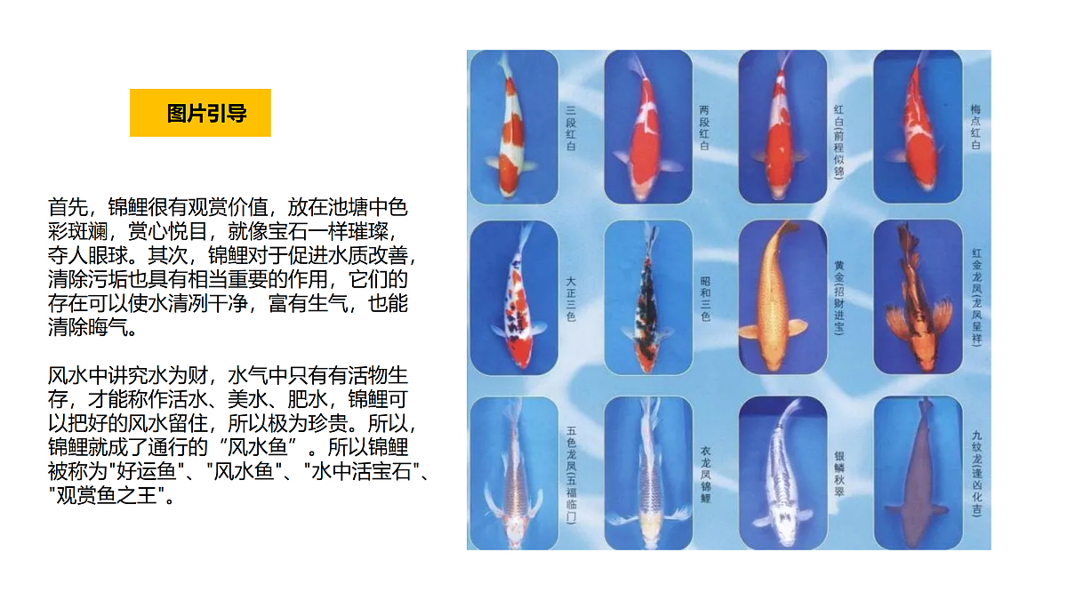 17416233第7页