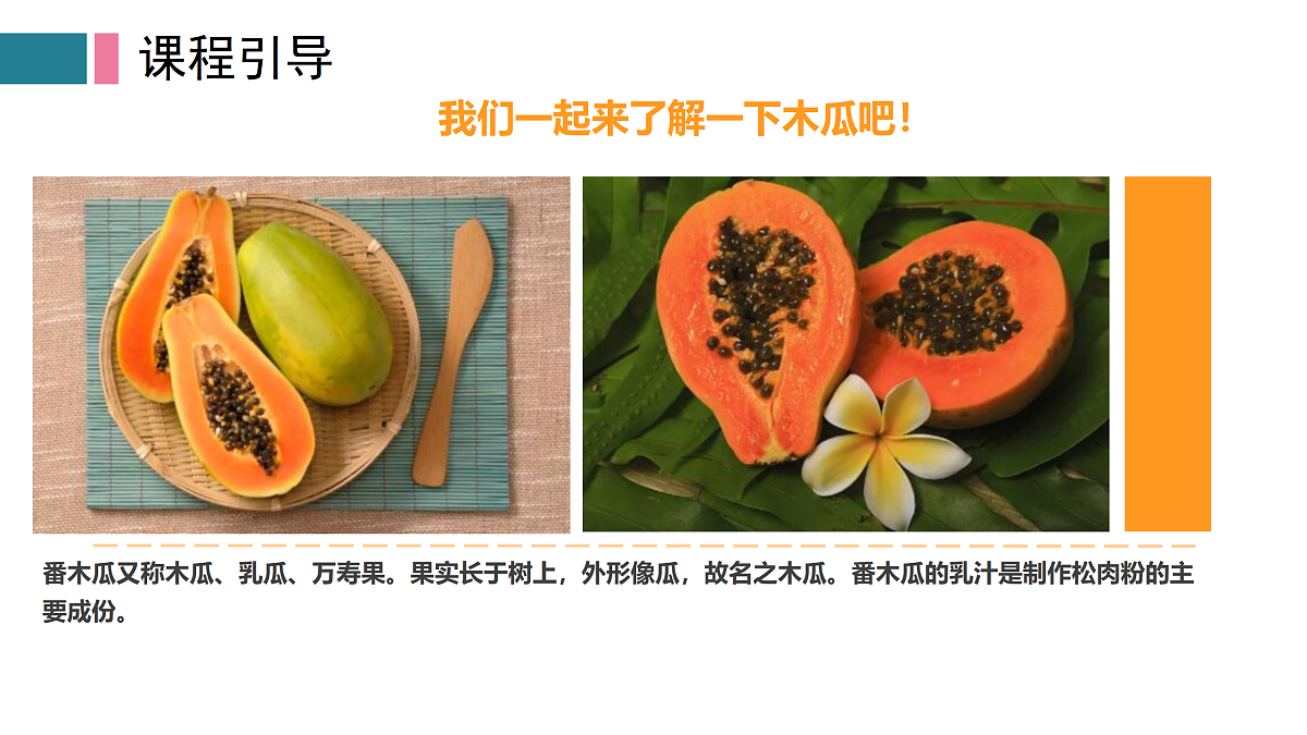 17416234第4页