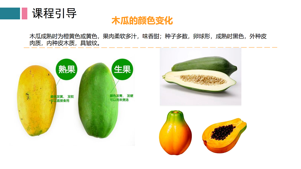 17416234第7页