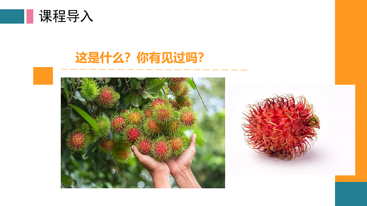 17416237第3页