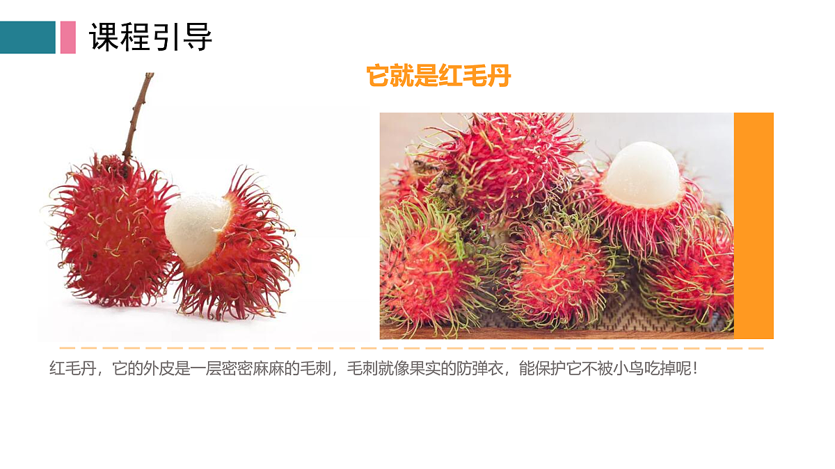 17416237第4页