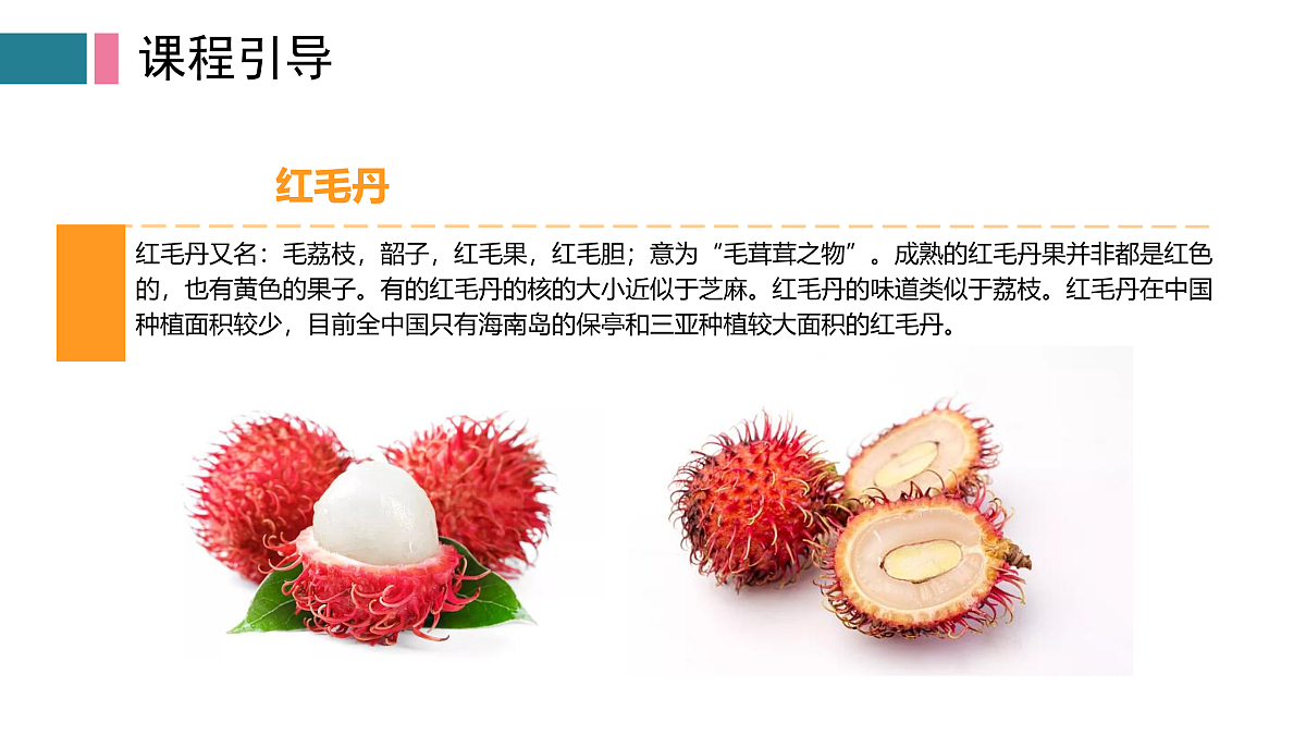 17416237第5页