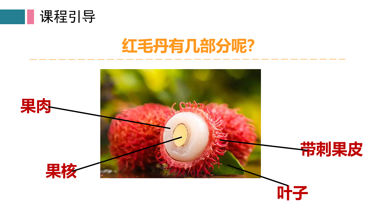 17416237第6页