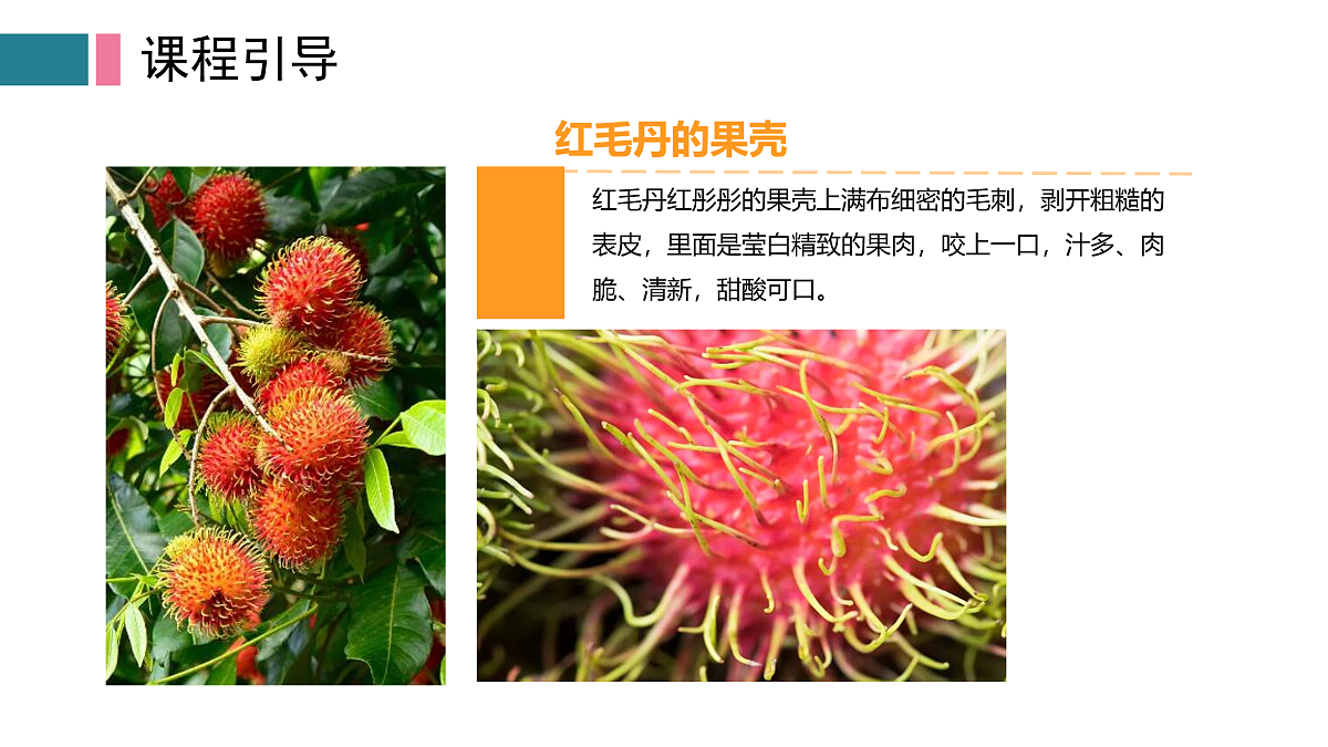 17416237第8页