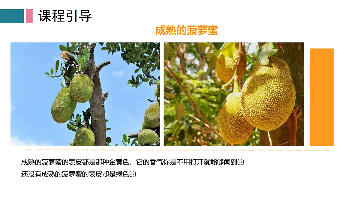 17416238第4页