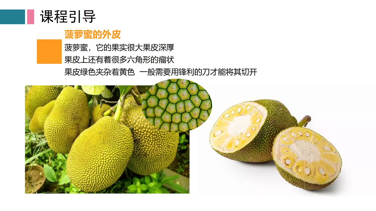 17416238第8页